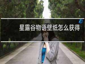 星露谷物语壁纸怎么获得