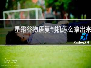 星露谷物语复制机怎么拿出来