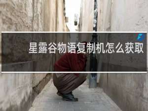 星露谷物语复制机怎么获取
