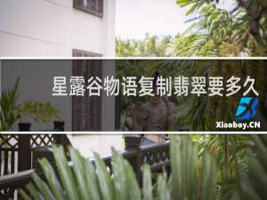 星露谷物语复制翡翠要多久