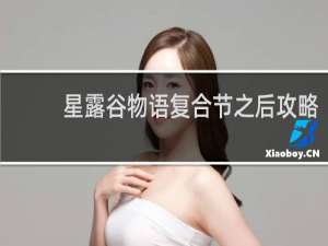 星露谷物语复合节之后攻略