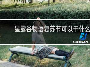 星露谷物语复苏节可以干什么