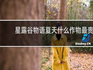 星露谷物语夏天什么作物最贵