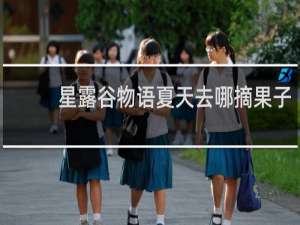 星露谷物语夏天去哪摘果子