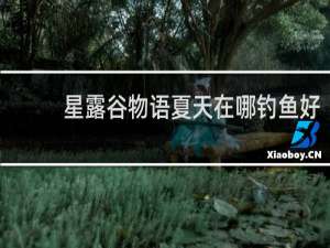 星露谷物语夏天在哪钓鱼好