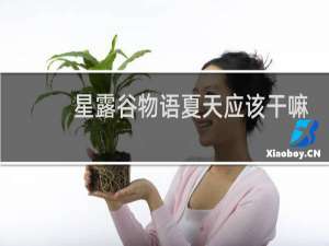 星露谷物语夏天应该干嘛