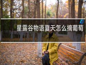 星露谷物语夏天怎么摘葡萄