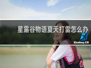 星露谷物语夏天打雷怎么办