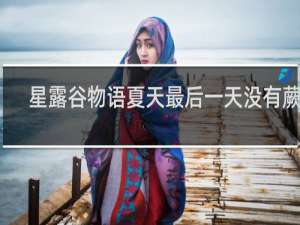 星露谷物语夏天最后一天没有蕨菜