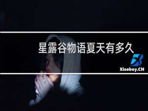 星露谷物语夏天有多久