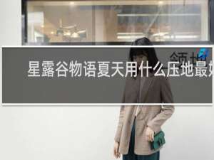 星露谷物语夏天用什么压地最好