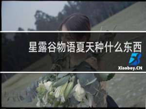 星露谷物语夏天种什么东西