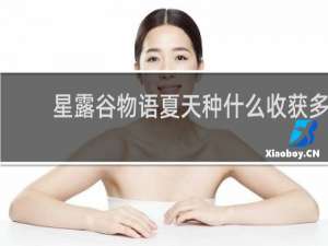 星露谷物语夏天种什么收获多