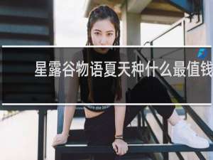 星露谷物语夏天种什么最值钱