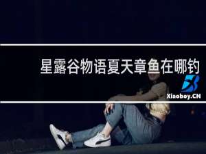 星露谷物语夏天章鱼在哪钓