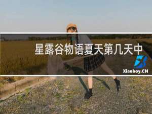 星露谷物语夏天第几天中