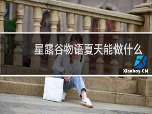 星露谷物语夏天能做什么