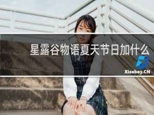 星露谷物语夏天节日加什么