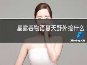 星露谷物语夏天野外捡什么