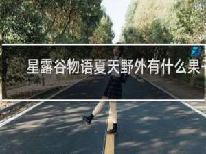 星露谷物语夏天野外有什么果子