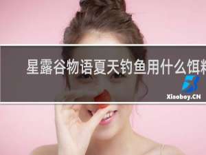 星露谷物语夏天钓鱼用什么饵料