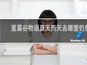 星露谷物语夏天雨天去哪里钓鱼