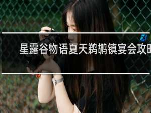 星露谷物语夏天鹈鹕镇宴会攻略