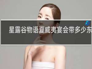 星露谷物语夏威夷宴会带多少东西