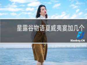 星露谷物语夏威夷宴加几个