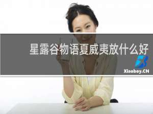 星露谷物语夏威夷放什么好