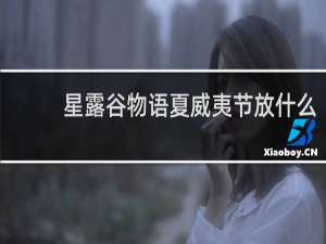 星露谷物语夏威夷节放什么