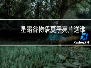 星露谷物语夏季亮片送谁