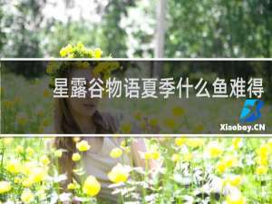 星露谷物语夏季什么鱼难得