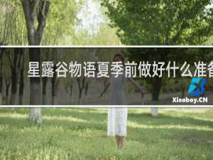 星露谷物语夏季前做好什么准备