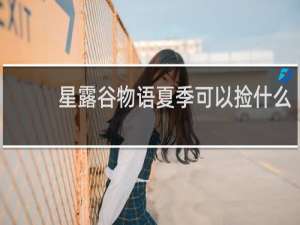 星露谷物语夏季可以捡什么