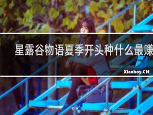 星露谷物语夏季开头种什么最赚钱