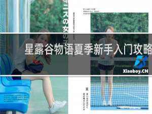 星露谷物语夏季新手入门攻略