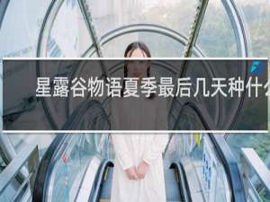 星露谷物语夏季最后几天种什么