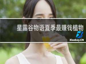 星露谷物语夏季最赚钱植物