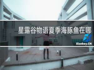 星露谷物语夏季海豚鱼在哪