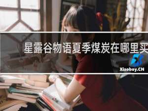 星露谷物语夏季煤炭在哪里买