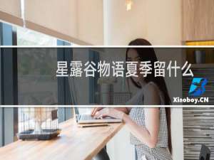 星露谷物语夏季留什么