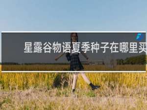 星露谷物语夏季种子在哪里买