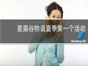 星露谷物语夏季第一个活动