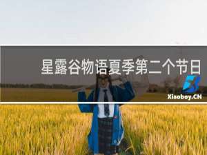 星露谷物语夏季第二个节日