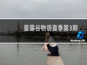 星露谷物语夏季第3期