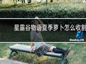 星露谷物语夏季萝卜怎么收割