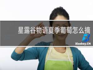 星露谷物语夏季葡萄怎么摘