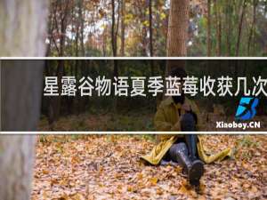 星露谷物语夏季蓝莓收获几次