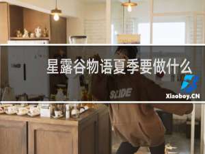 星露谷物语夏季要做什么